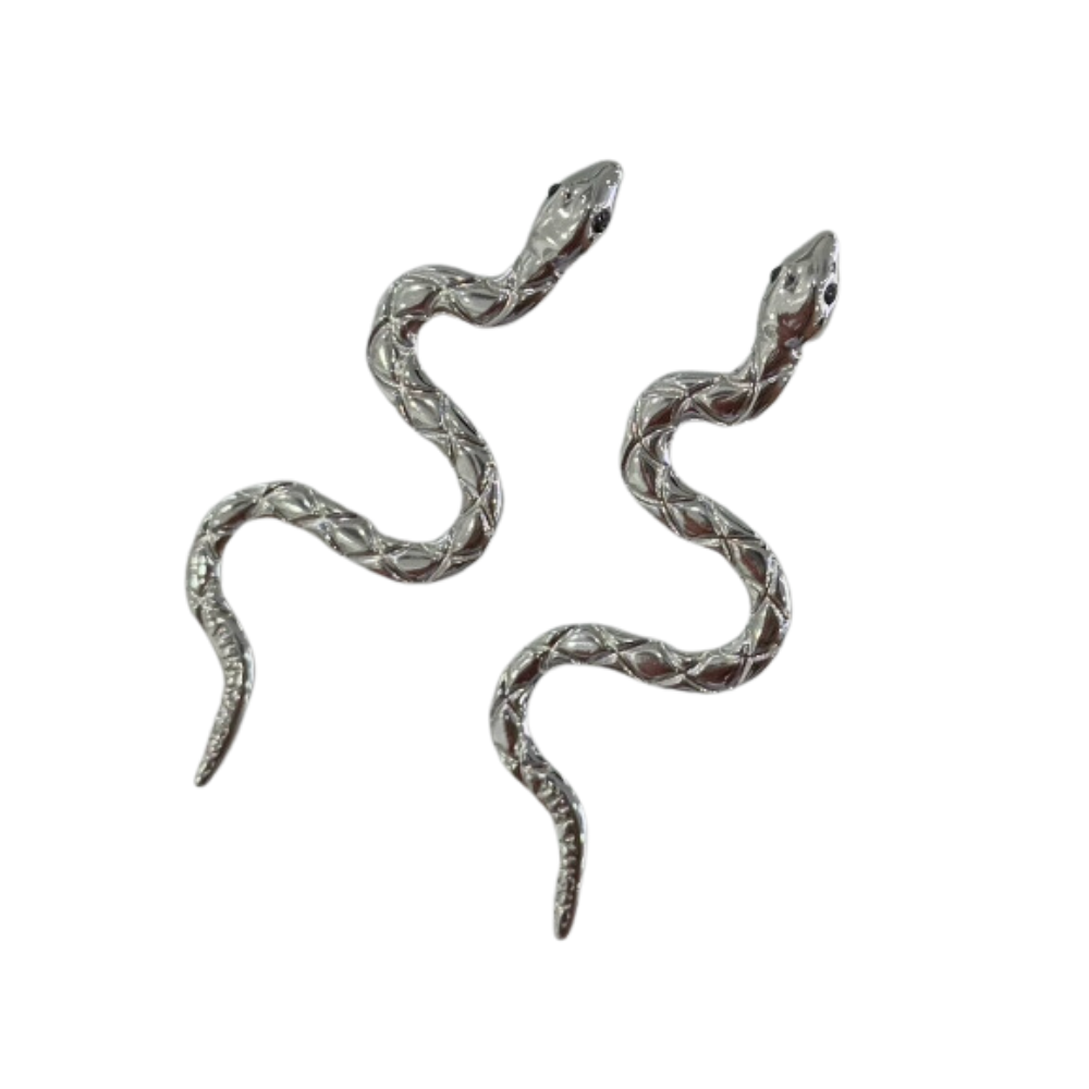 Earrings - Silver Snake
